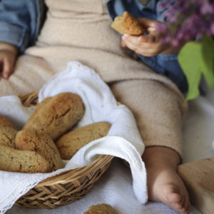 biscotti integrali